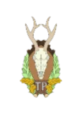 TrophyPlates