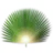 Tropical Britain
