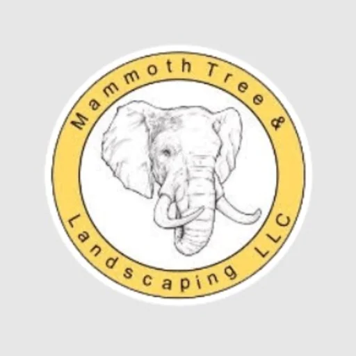 AAA Mammoth Tree & Landscaping