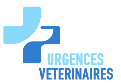 Urgences Veterinaires Lyon