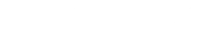 Usonyx