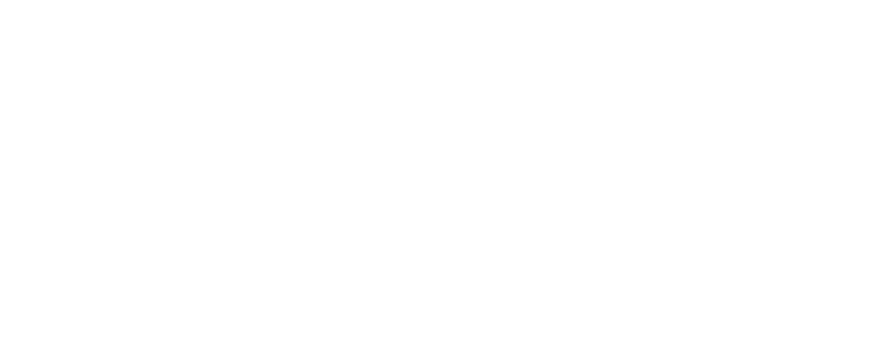 Vegaoptik