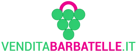 VENDITABARBATELLE.IT