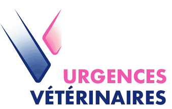 Urgence Veterinaire Marseille et Aix-en-Provence