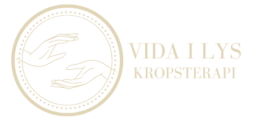 Vidailys