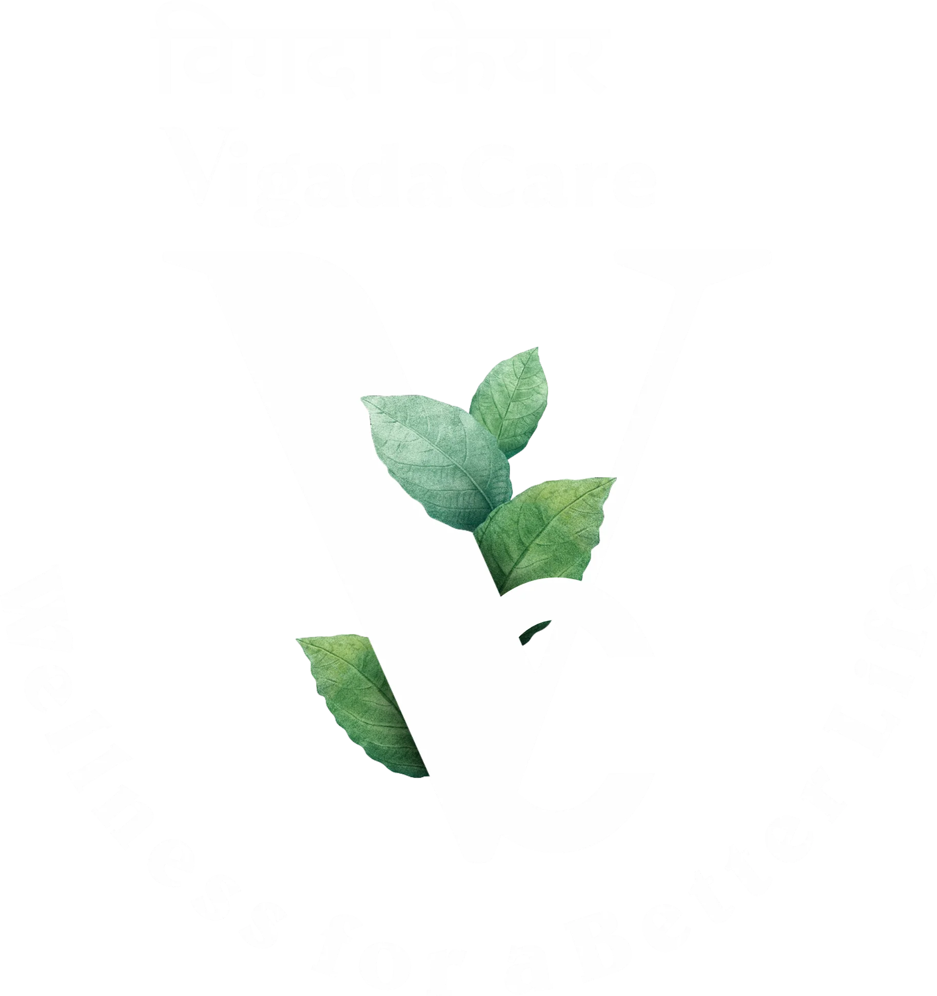 Vigada Care Pvt Ltd