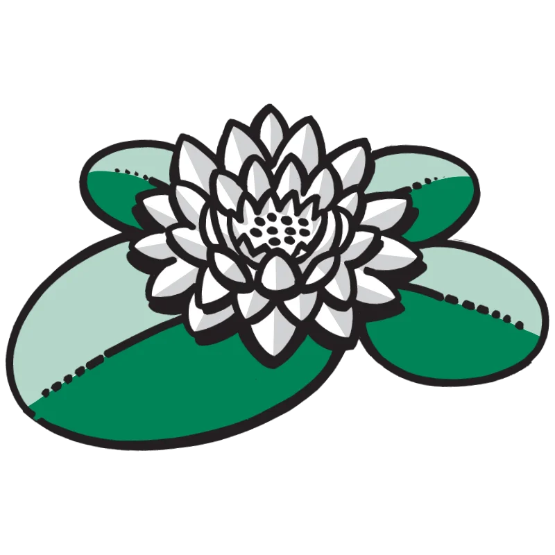 Vijverplanten Webshop