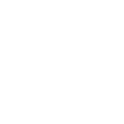 Vikiallo
