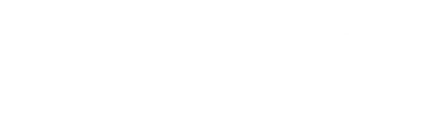 Virtus Personal