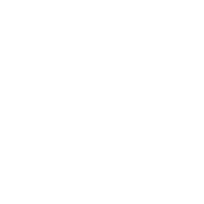 Visionarea