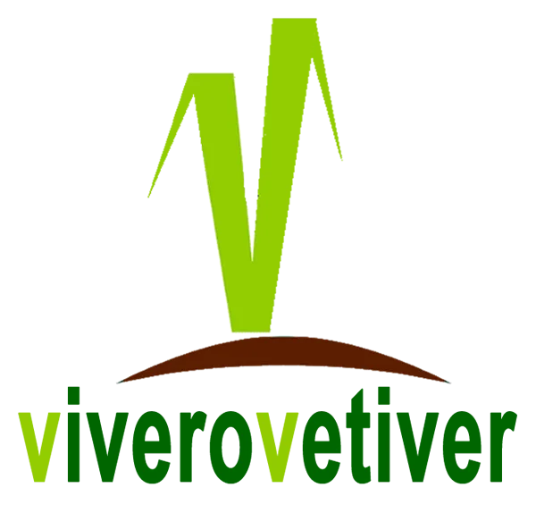 Viverovetiver