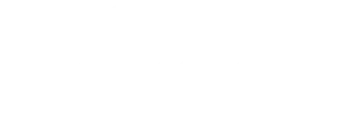 Viwosoft Technologies