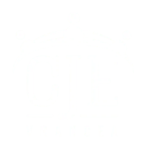 Vrancea Consiliulelevilor