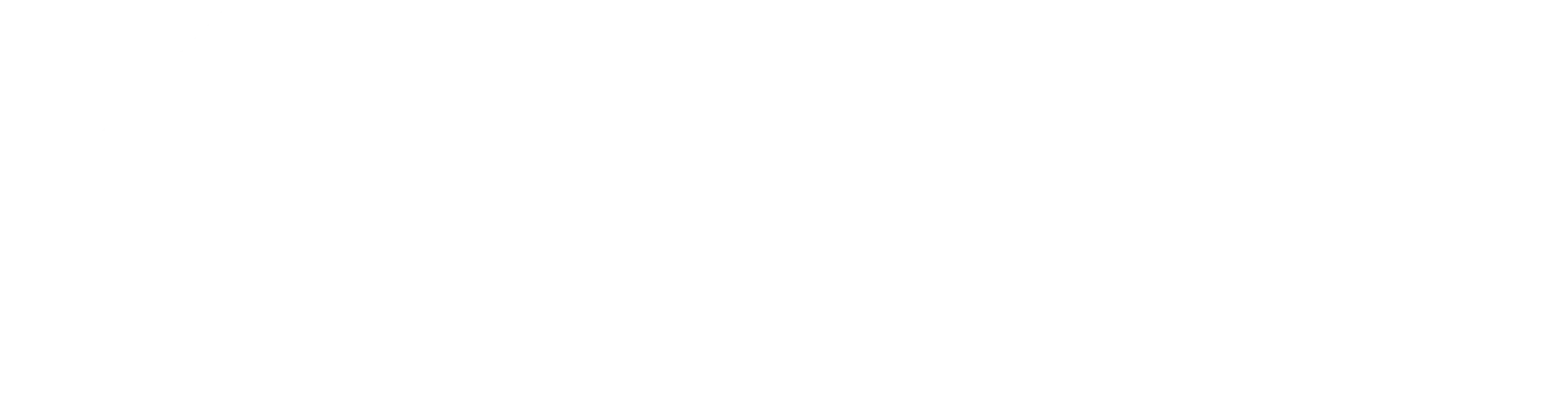 Vroombrick