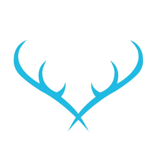 WEBMARKETIERE