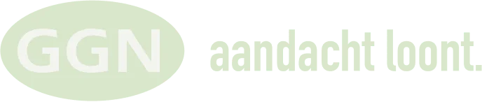 Website Visie
