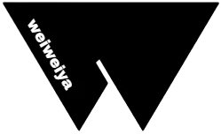Weiweiyastore