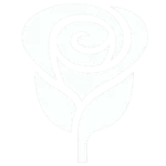 White Rose Interiors Ltd