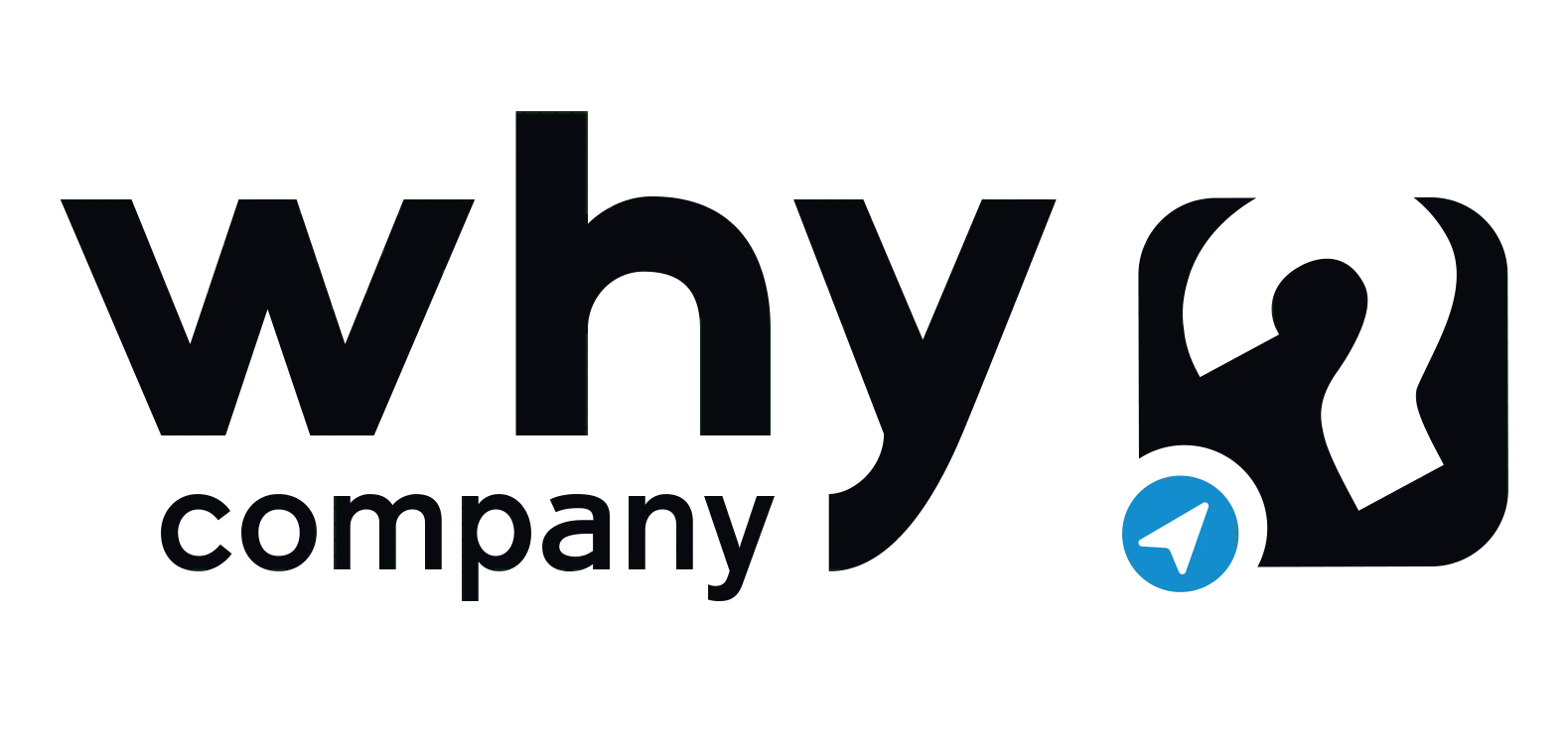 Why Company