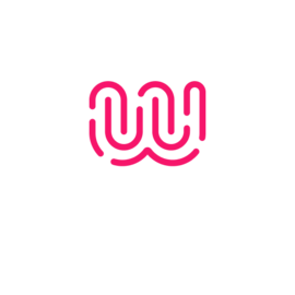 Wild Code School