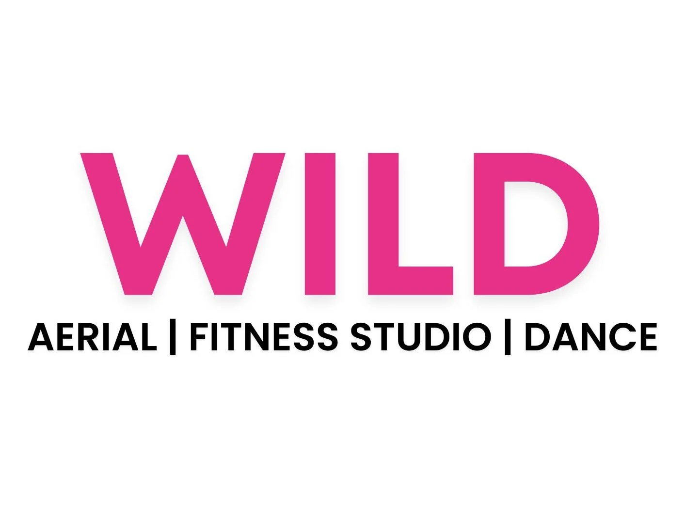 Wild Aerial & Fitness Training Studio