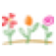 Wineflowers