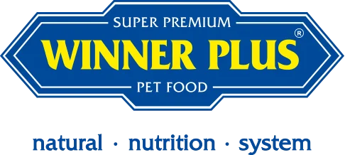 Winnerplus