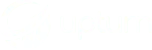 Witbuz