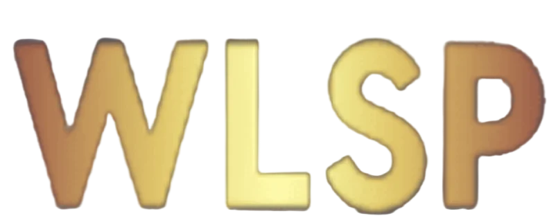 Worldlargestsmmpannel