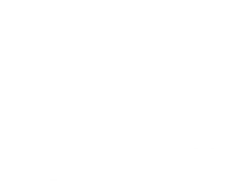 World Of The Hair