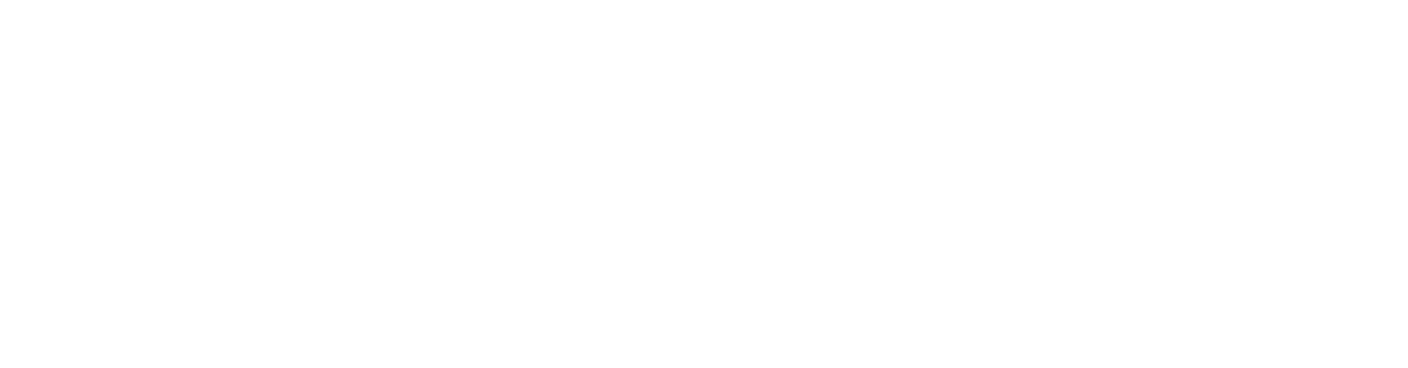Wortex Technologies