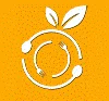 4ecoshop