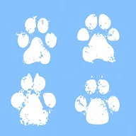 4pawsboutiquespa