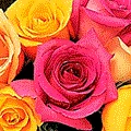 800florals