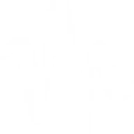 Accordeons Maugein