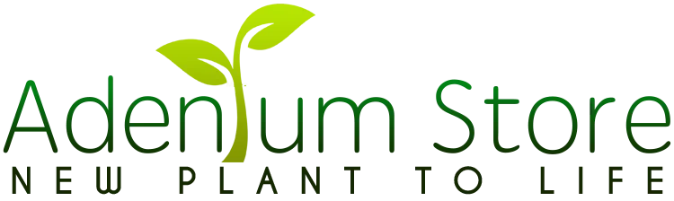 Adeniumstore