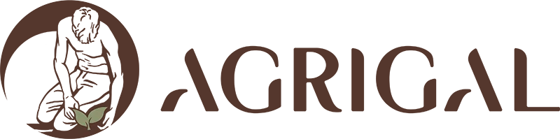 Azienda Agricola Adriano Galizzi