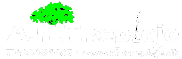 Ahtraepleje
