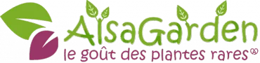 Alsagarden