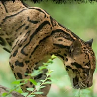 Animal Biology & Care Education