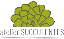 Arreesucculentes
