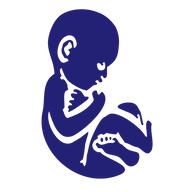 BabyScanUK