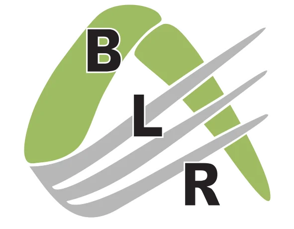 Blr Service