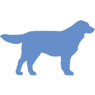 Caninetofive.com