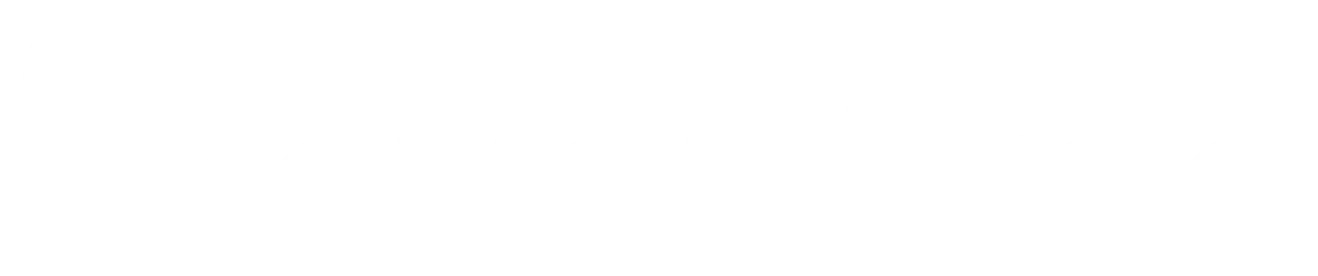 Citizen Ticket