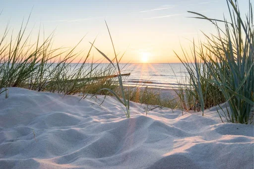 Clear Mind Open Heart v/Birgitte Breving