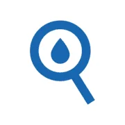 Damp Detectives Ltd 