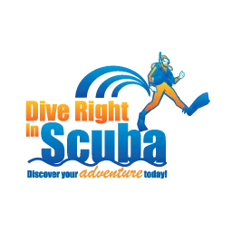 Dive Right In Scuba
