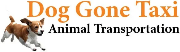 Doggonetaxi