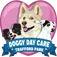 Dogs And Divas Ltd